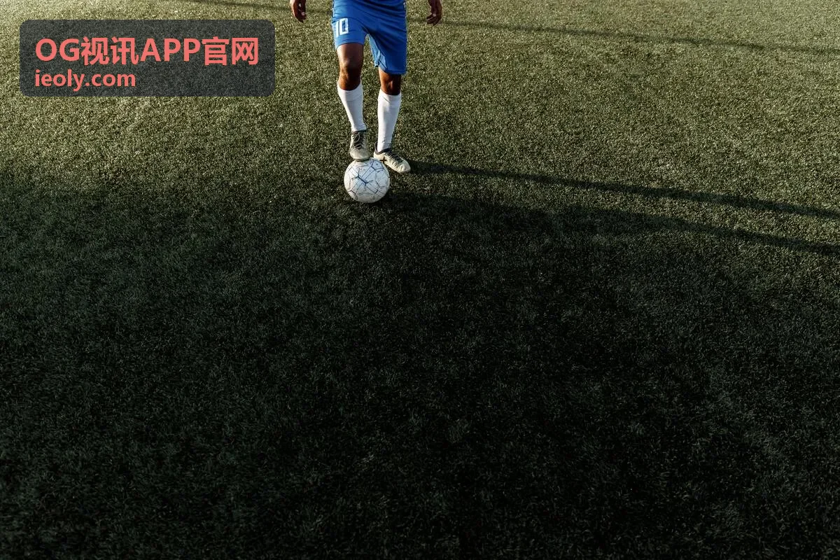 OG视讯APP远程协作会议